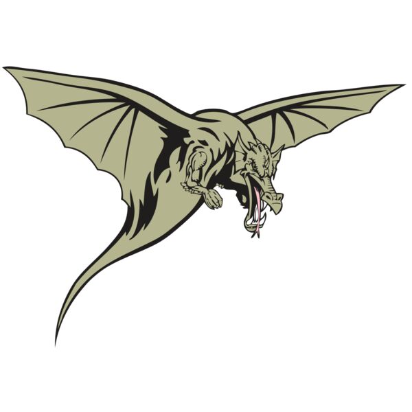 BAW DRAGON 12 RC Thumbnail